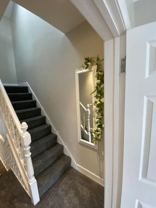 The Cozy Homestay Belfast Exterior photo